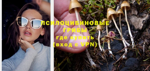 apvp Балахна