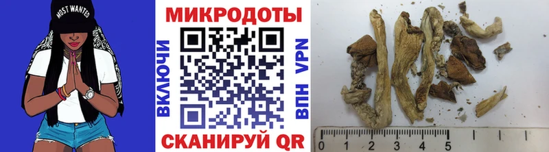 Псилоцибиновые грибы Psilocybe  даркнет клад  Тара  наркота 